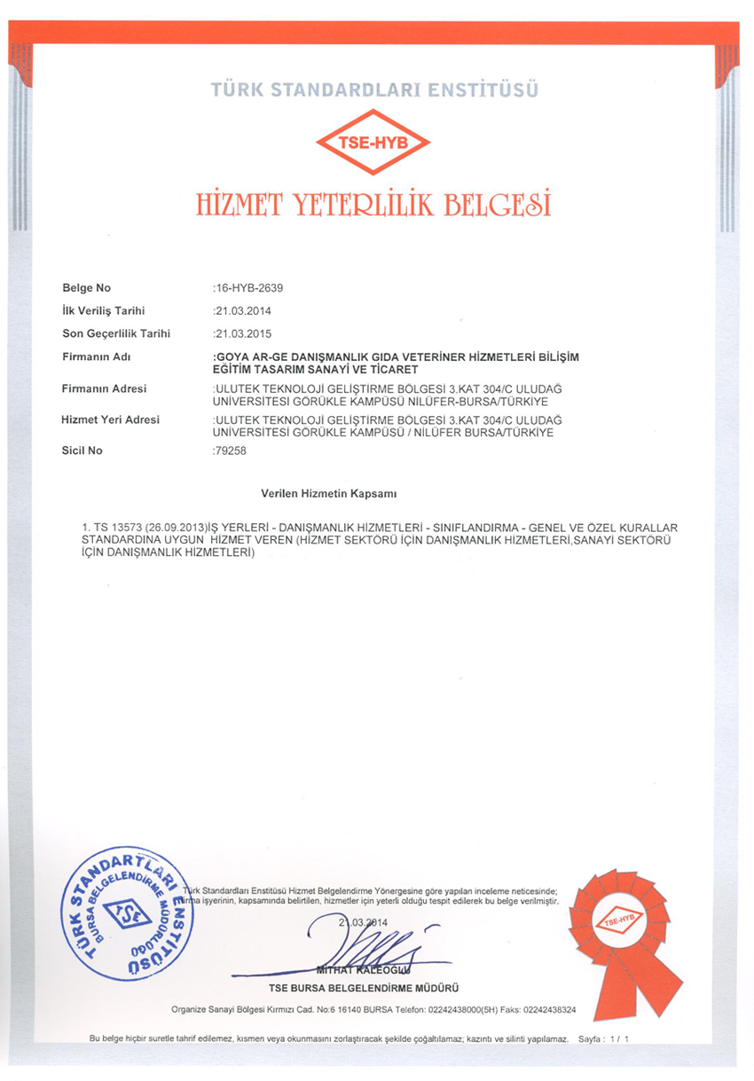 TSE_HYB